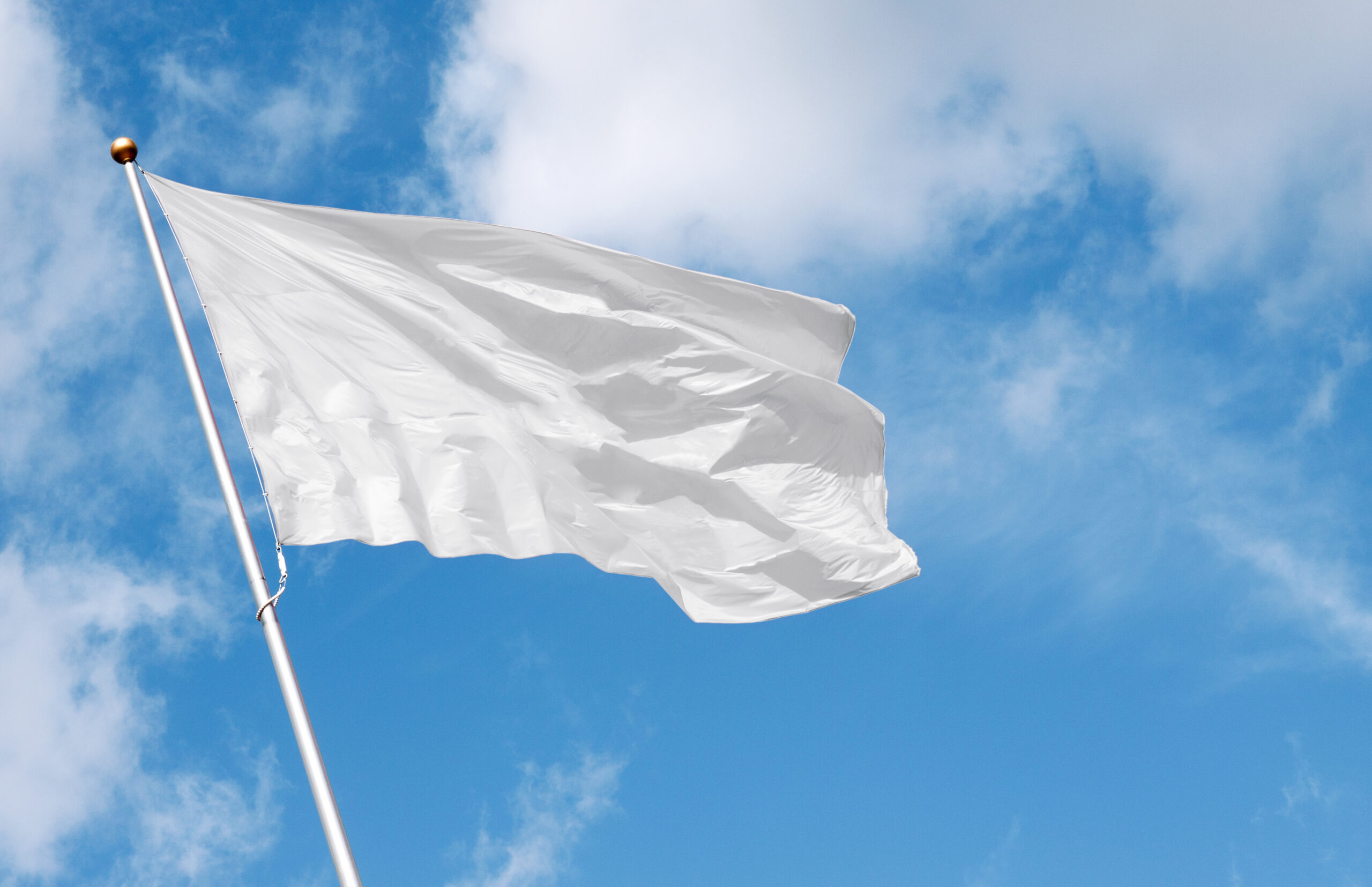 White blank flag waving in the wind